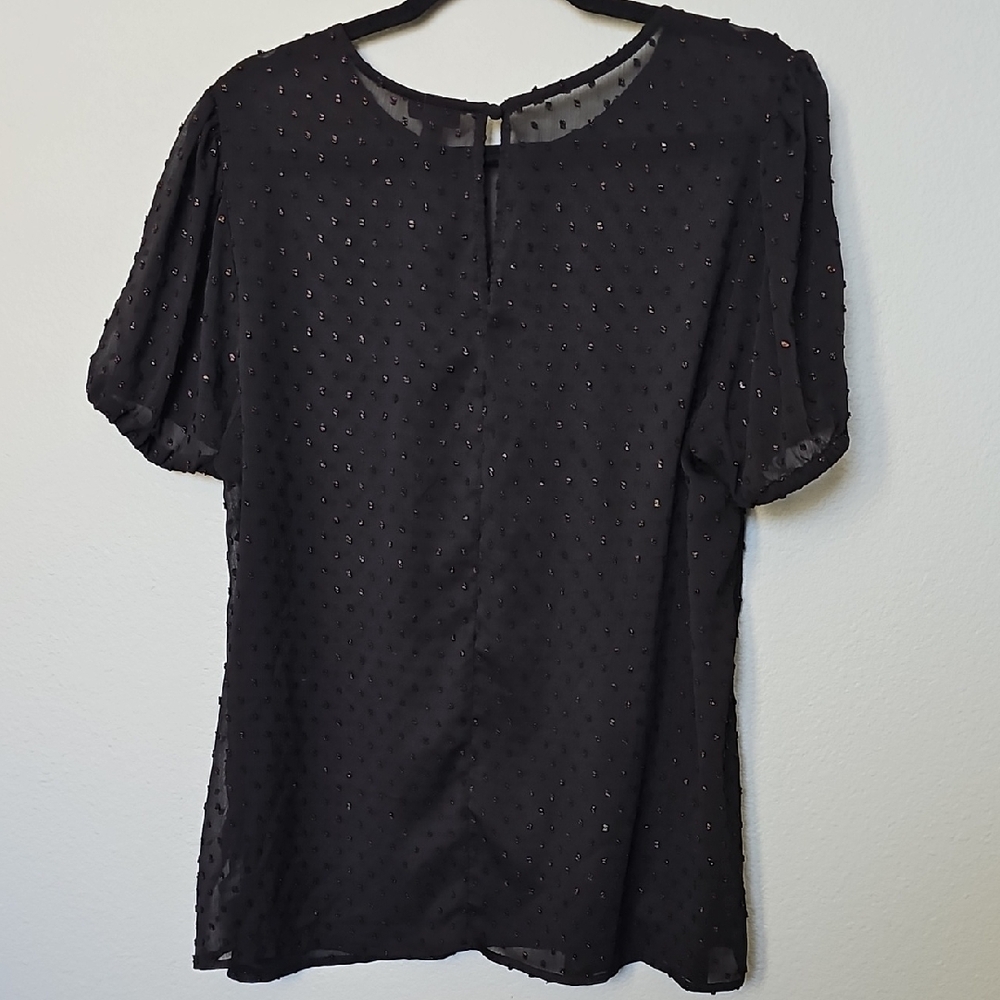 Torrid Witchy Flirty Abbey Rainbow Clip Dot Sheer Short Sleeve Blouse Top 0X - Picture 8 of 12